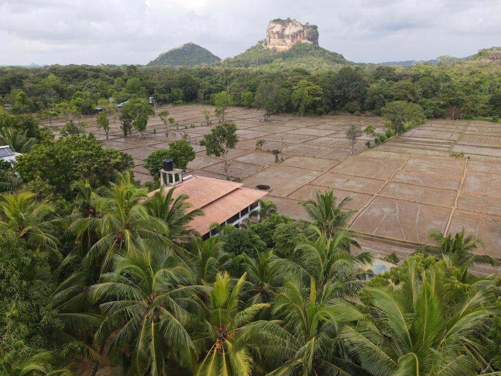 Castle View Sigiriya Ξενοδοχείο Εξωτερικό φωτογραφία