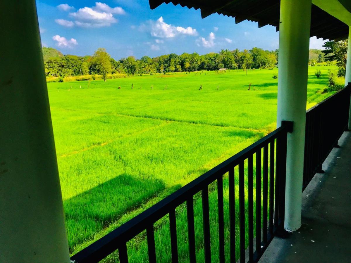 Castle View Sigiriya Ξενοδοχείο Εξωτερικό φωτογραφία