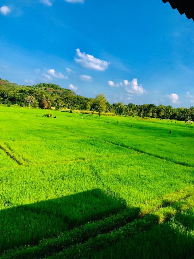 Castle View Sigiriya Ξενοδοχείο Εξωτερικό φωτογραφία