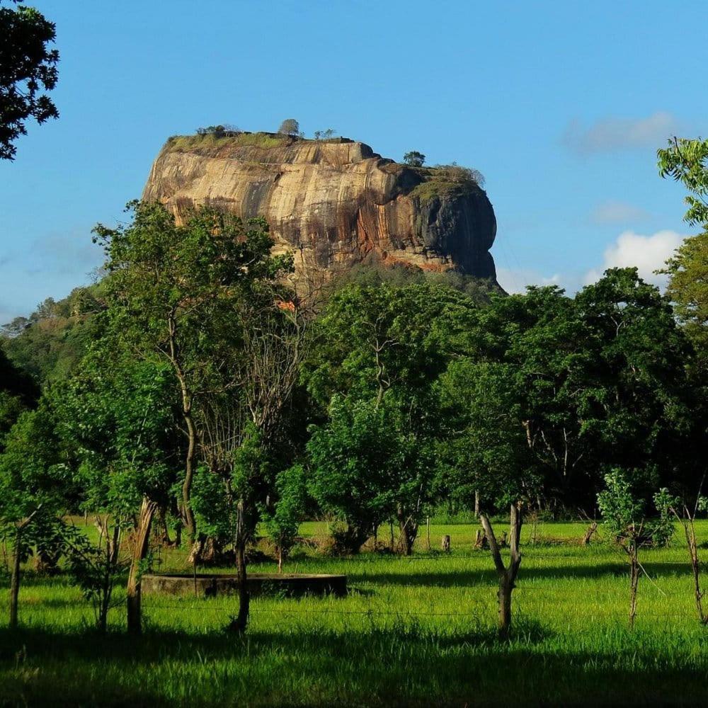 Castle View Sigiriya Ξενοδοχείο Εξωτερικό φωτογραφία
